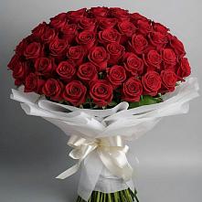 Букет 101 Красная роза Блэк Мэджик в Аркадаке