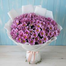 Букет цветов из:  Хризантемы в Аркадаке