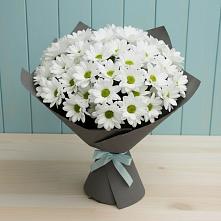 Букет цветов из:  Хризантемы #REPLACE_PRED# Аркадаке