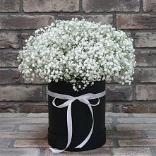 Цветочная композиция из Гипсофила в шляпной коробке в Аркадаке