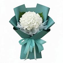 Букет цветов из:  Гортензия в Аркадаке